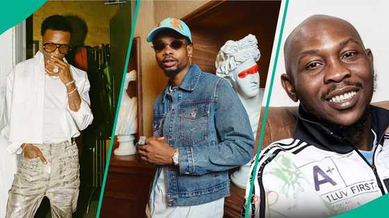 "You Brought This Embarrassment to Your Family": Yhemolee Blasts Seun Kuti Over Clash With Wizkid