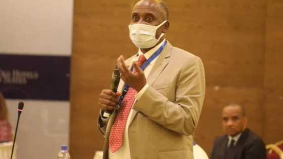 Until we begin to jail thieves, corruption will continue - Amaechi
