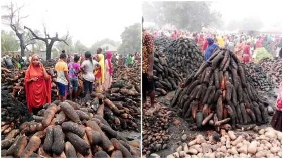 Hundreds of farmers, traders in tears as raging fire destroys food items worth millions in Plateau yam market