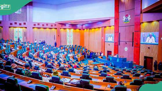 Lawyers, CSOs fault Reps' move to dissolve fuel probe committee, give reasons