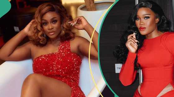 BBNaija All Stars’ Uriel defends CeeC after her heated fight with Pere, sparks debate: “She has a good heart”