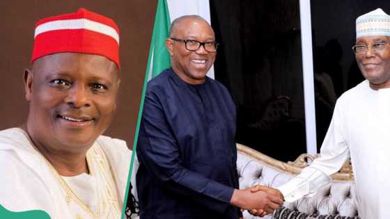 2027: PDP chieftain speaks on possibility of Peter Obi, Kwankwaso emerging as Atiku’s running mate