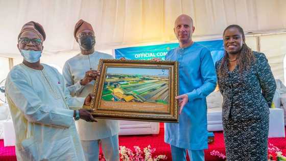 Nigerian Breweries Pioneers Solar Powered Manufacturing in Nigeria