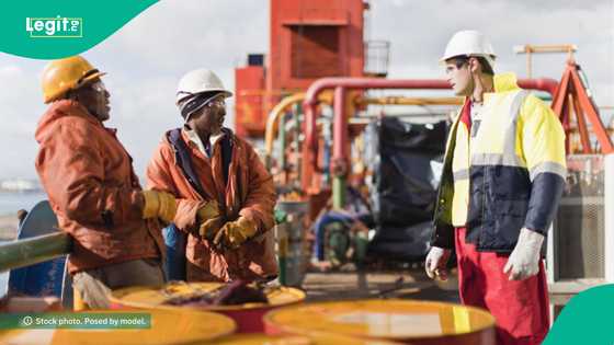 FG speaks on next step after MRS, TotalEnergies, others emerged winners of oil well