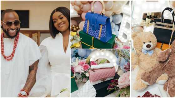 Davido's twins: Singer spends over N100m on bags for Chioma as welcome home gift