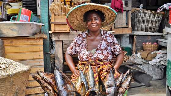 My Son Feared Gold Diggers — I Opened a Market Stall Beside His Girlfriend to Test Her Behavior