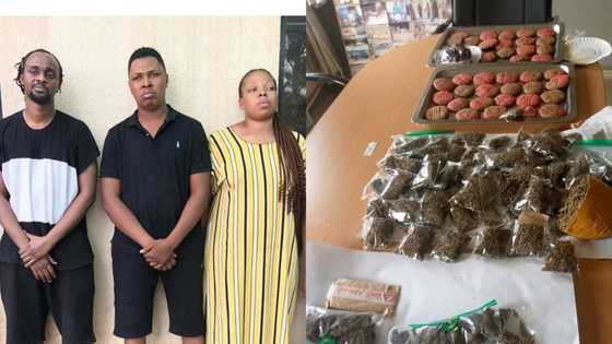 NDLEA Ta Bankado Masu Safarar Miyagun Kwayoyi Ta Yanar Gizo, Ta Kama 5 a Abuja