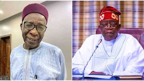 Buba Galadima praises President Bola Tinubu, says “the difference is clear”