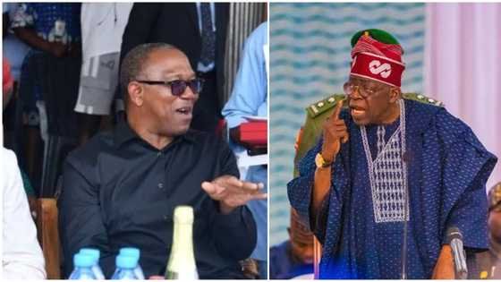 Peter Obi reacts to viral video of President Bola Tinubu’s long convoy in Lagos