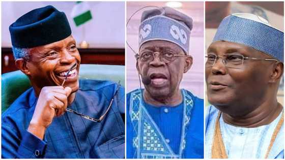 Atiku’s emergence: Ex-minister reveals why APC must field Tinubu, urges Osinbajo, Fayemi, others to step down