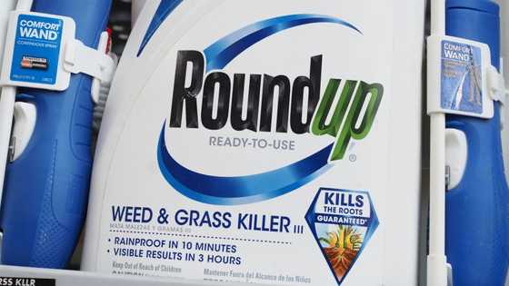 Bayer says legal woes could force it to pull weedkiller