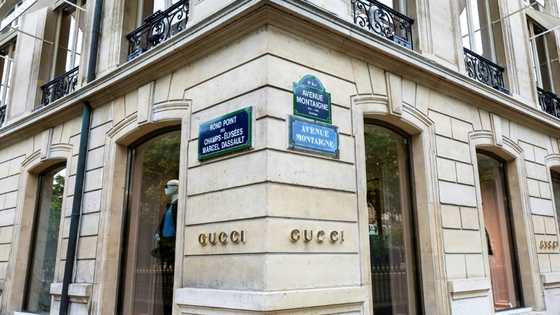 Gucci owner Kering posts 46% profit slump before new CEO arrives