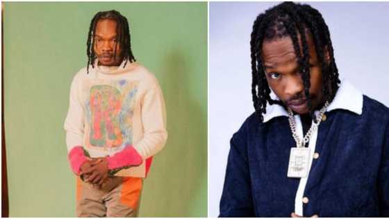 You have zero leadership qualities: Man seriously lampoons Naira Marley after hinting about becoming president