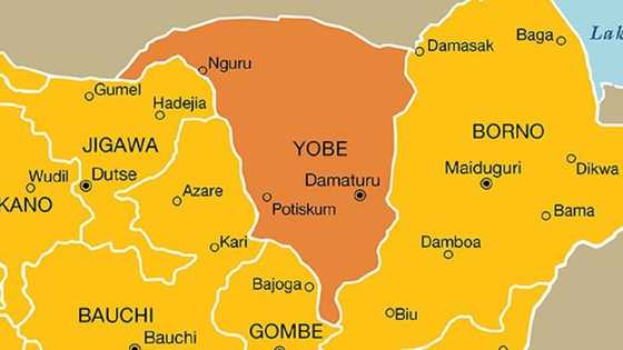 'Yan Boko Haram sun sace tarakta 5 sun banka wa 2 wuta a Yobe