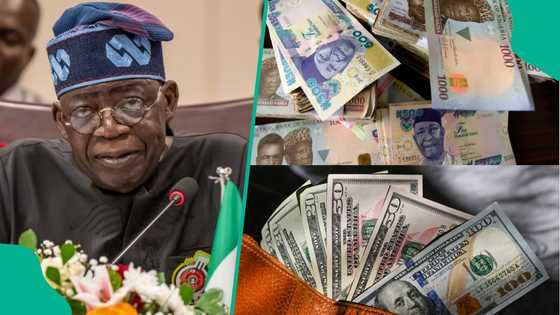 Chatham House warns FG not to strengthen naira, lists benefits for Nigeria’s economy