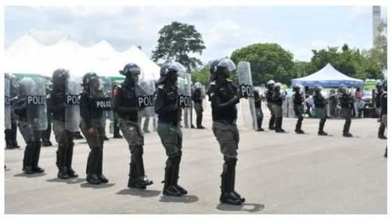 Just in: Nigerian police resume recruitment exercise, release crucial update