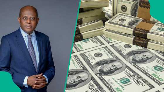 CBN urgently releases $197 milion into forex market as US tariff causes tension