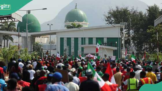 Protest rocks nat'l assembly Abuja amid calls for sack of top public official, details emerge