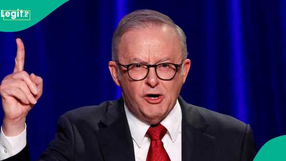 Australia government lists items foreigners are prohibited from bringing into country