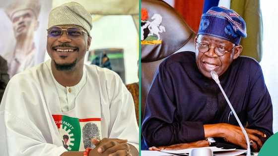 Lagos 2027 race: “I’ll quit politics than align with Tinubu,” Rhodes-Vivour shares why