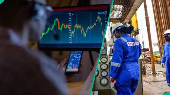 Seplat share price hit new high, as stock investors gain N2.9trn