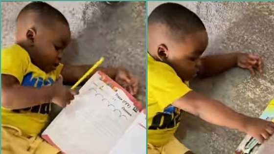"Life na small small": Tired little boy closes assignment book, walks away in video, people react