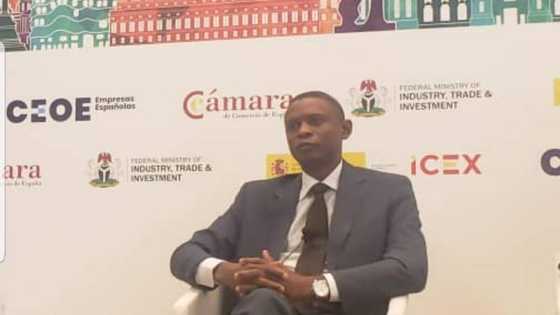 Good news as Buhari government seeks Spanish investment into auto component production in Nigeria