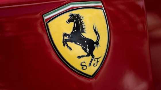 Ferrari reports another record-breaking year