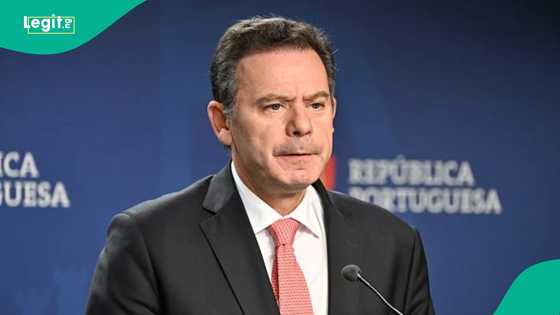 Portugal names agency foreigners must contact before travelling to the country to find work