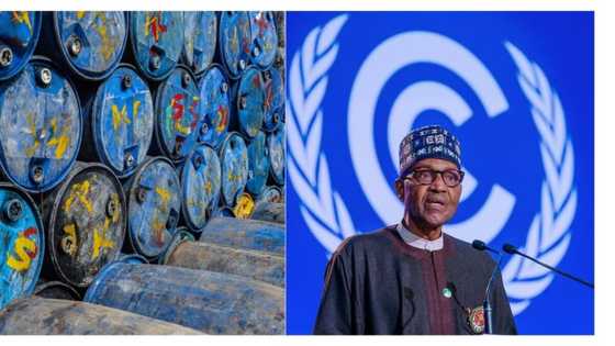 Experts predict oil may hit $150 per barrel as Nigeria battles fuel scarcity