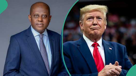 CBN warns of Donald Trump's reciprocal tariffs as Nigeria’s foreign investment hits 2-year high