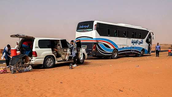 Kaico: Duk da Buhari ya ba da kudin bas $1.2m, motoci sun ki kwaso 'yan Najeriya daga Sudan