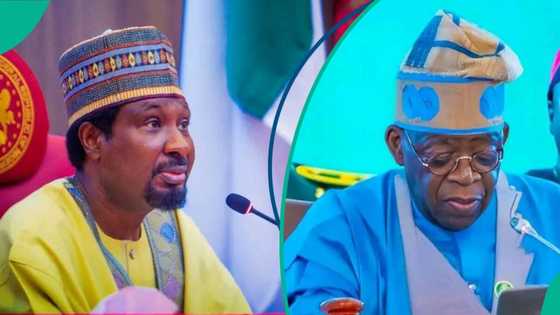 'Talaka ya amince da Tinubu,' Sanata ya yi magana kan zaben Edo