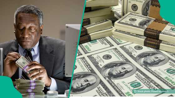 UBA, Zenith, Access, others finally cut rate on forex deposit as dollar improves