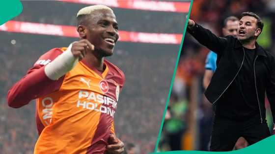 Galatasaray coach reacts after Osimhen scores against Fenerbahce on his injury return