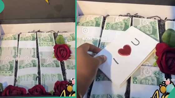 Man gives his girlfriend briefcase filled with naira notes because her genotype is AA
