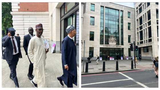 Ekweremadu, wife to remain in prison as UK court denies couple bail again