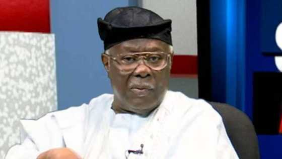 After planning to run out of Nigeria over Tinubu's victory as president-elect, Bode George speaks on next move