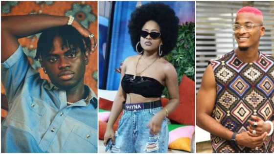 “They chased Beauty out of the house”: Reactions as BBNaija’s Phyna speaks on liking Groovy and Bryann