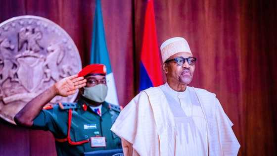 Buhari must consider regional autonomy to tackle security challenges - Ex-DSS director Amachree