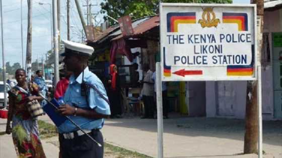 Man arrested by police for attempting to smuggle 10kg python