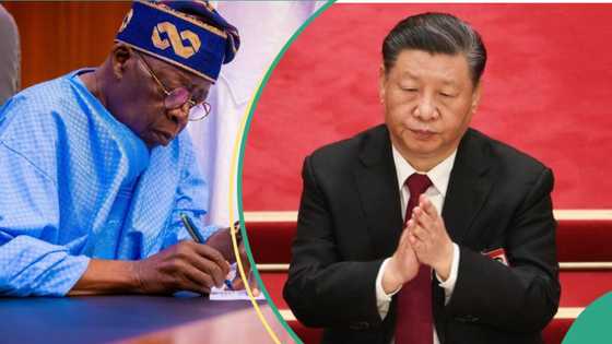 Amid Nigeria's $4bn debt, China commits to financing Abuja-Kano, Port Harcourt-Maiduguri rail projects