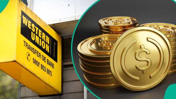 Western Union targets Nigerians with dollar-backed crypto: A game-changer for remittances