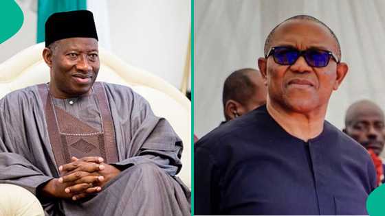 2027: Ana shirin tarwatsa haɗakar Atiku da Peter Obi da kujerar minista mai tsoka