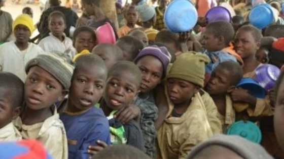 Akwai almajirai guda miliyan biyu a Zamfara - Gwamnatin Zamfara