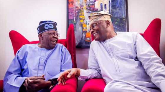 Tinubu Da Atiku Ba Su Cancanci a Ayyana Su Matsayin Shugaban Kasa Ba, Shaidar Atiku Ya Fadawa Kotu