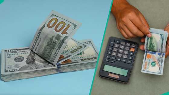 Naira loses ground against dollar in official, black markets