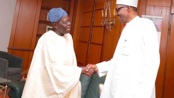 Buhari: Bisi Akande Mai Gaskiya Ne, Bai Taɓa Amsa Ko Bayar Da Cin Hanci Ba