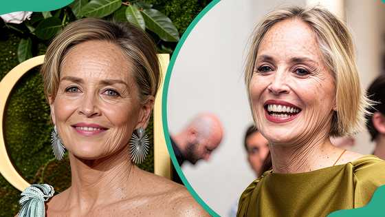 A look at Sharon Stone's spouses and boyfriends over the years