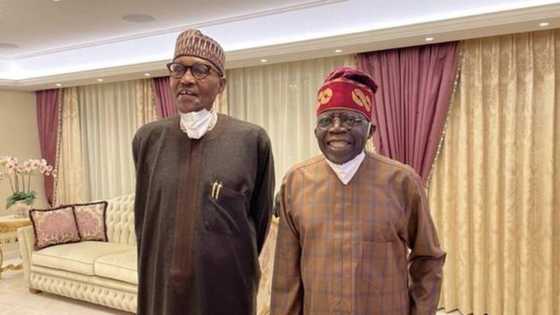 Matasa sun fara nuna ba za su goyi bayan Atiku, Kwankwaso da duk wani tsohon 'Dan takara ba